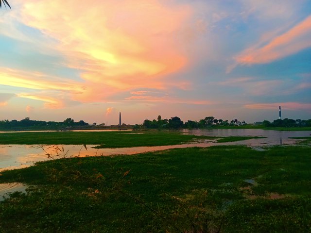 IMG_20250929_070105.jpg