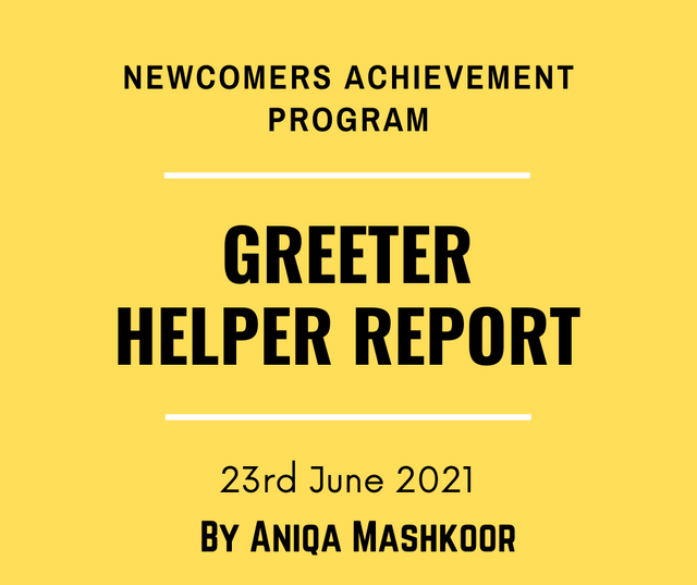 GREETER HELPER REPORT (4).png