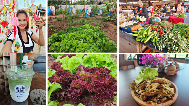 From Garden to Bowl Fresh Ingredients for Our Noodles 🥬🍜