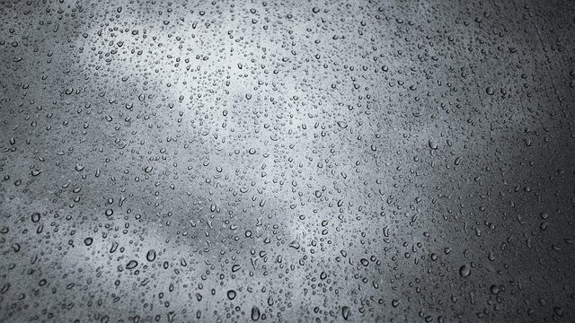 1000334405.jpg