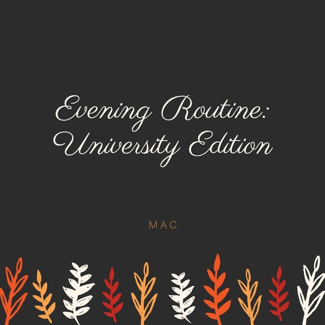 Evening Routine_ University Edition.jpg