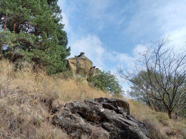 s250414-103.jpg