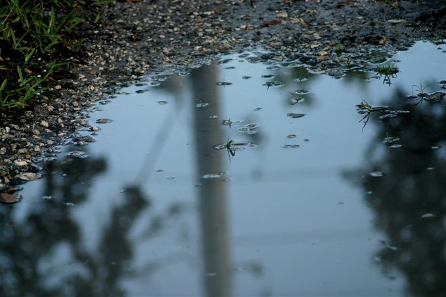 puddle 3.jpg