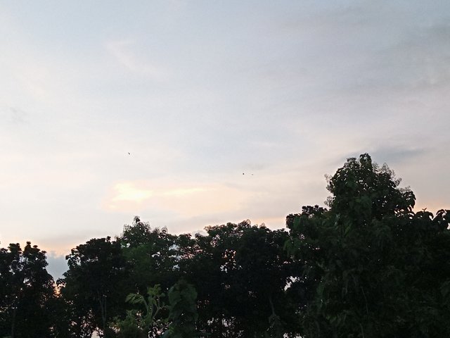 IMG_20250907_182025_413.jpg