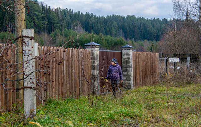 20211024 Курешники_17.jpg