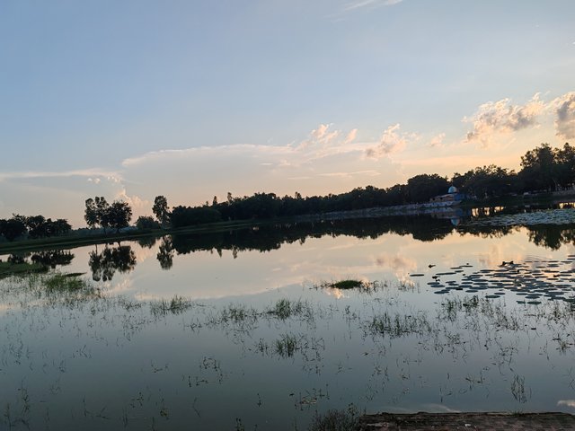 1000063926.jpg