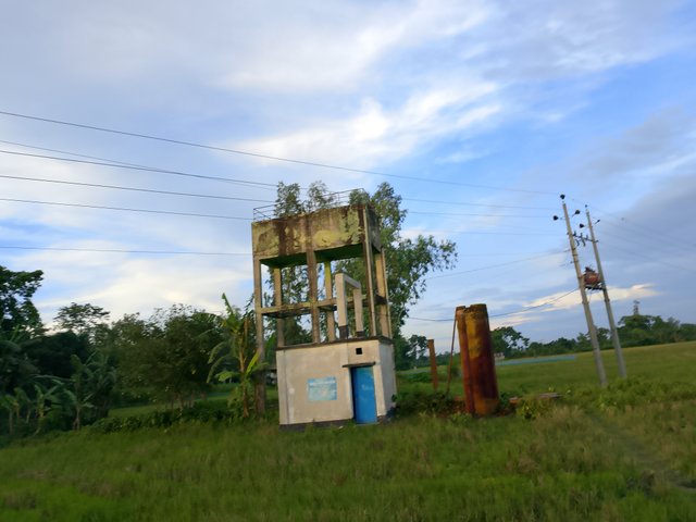 1000043457.jpg