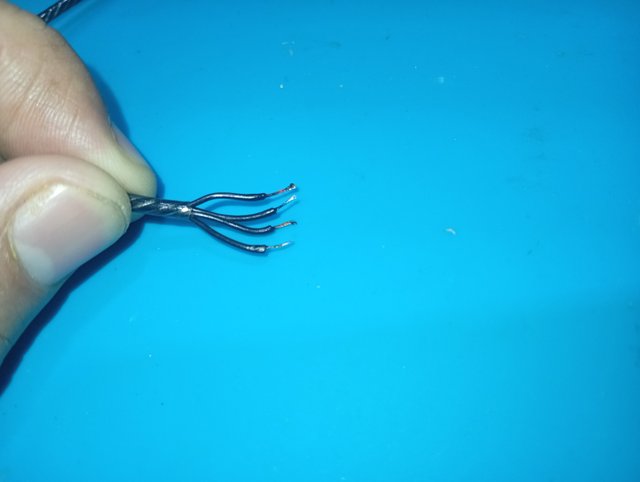 1000245761.jpg