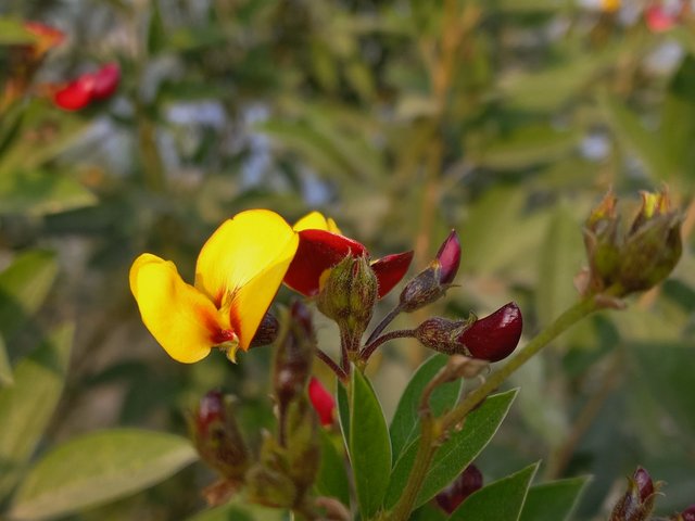 20230120_160148.jpg