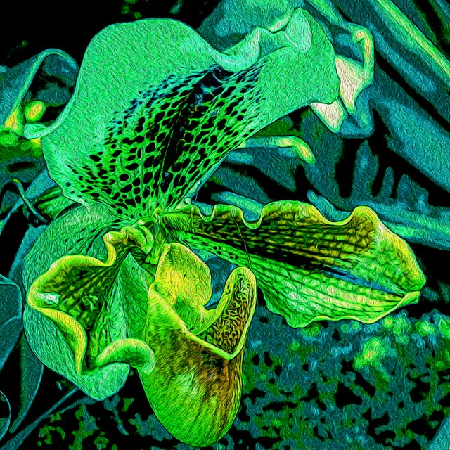 Green Orchid Finalized.jpg