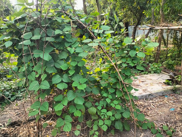 IMG20250929162506.jpg