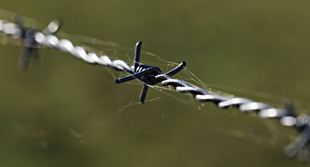 barbed-wire-1785533__340.jpg