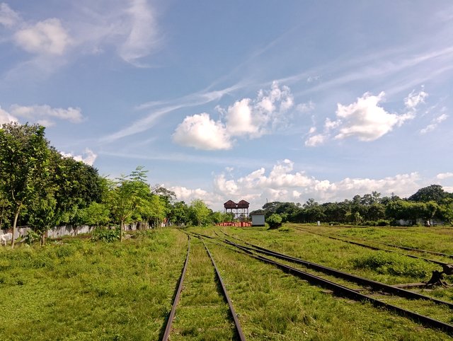1000044254.jpg