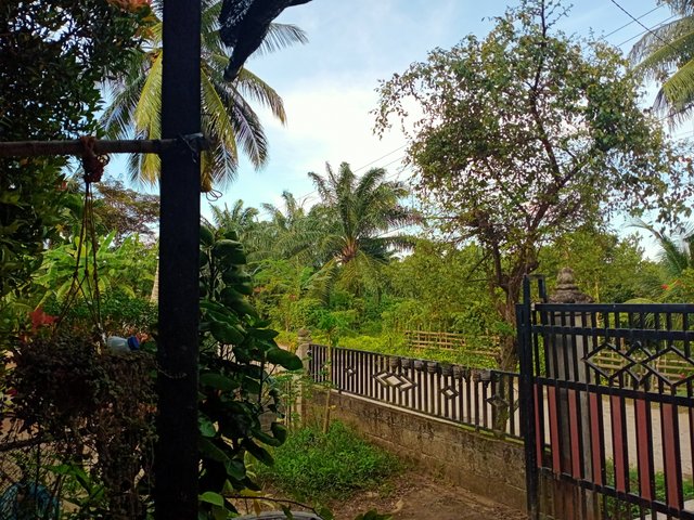IMG20251005170650.jpg