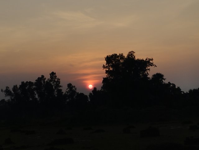 IMG_20240830_180654.jpg