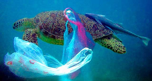 ocean_plastic_bag.jpg