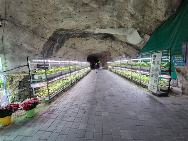 1000470168.jpg