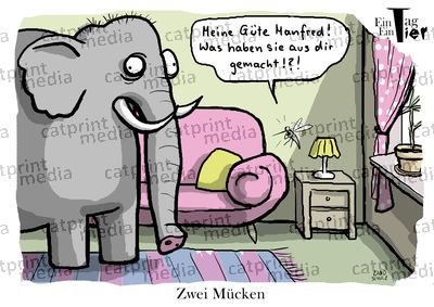 muecke-elefant-gross.jpg