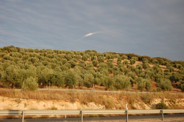 k-DSC_0443.JPG