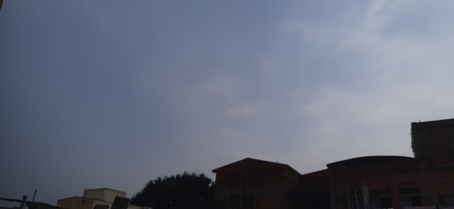20220928_072937.jpg