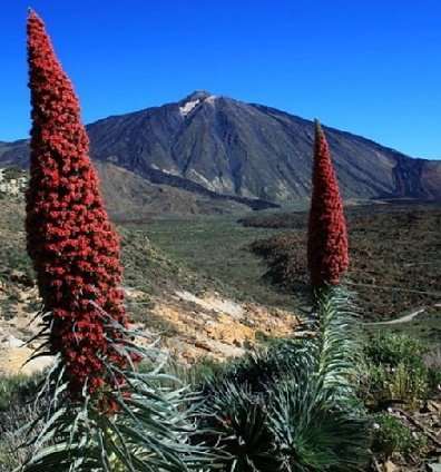 teide.jpg