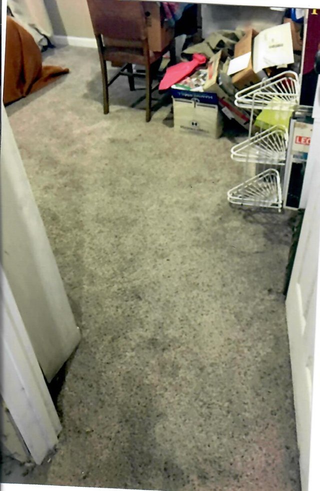 P41 Entrance to the Bedroom.jpg