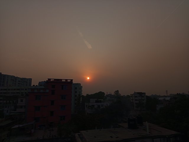 1000007252.jpg