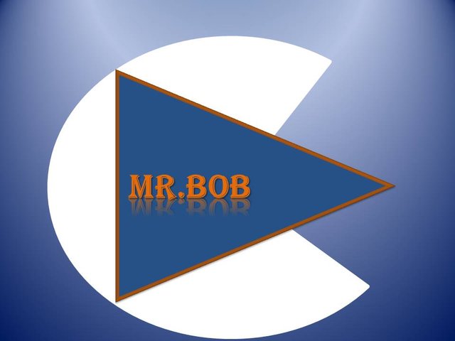 logo mr.bob.jpg