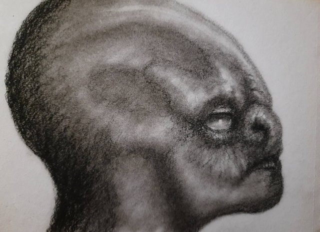 20250604_112942.jpg