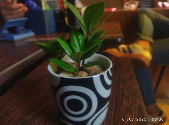 Screenshot_2025-07-01-10-11-41-368_com.miui.gallery-edit.jpg