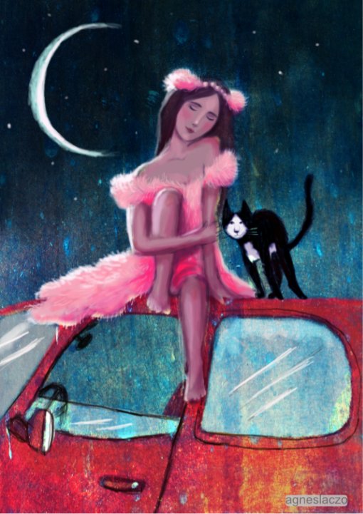 agnes laczo art painting girl in pink with cute cat on top of car moon prom night.jpg