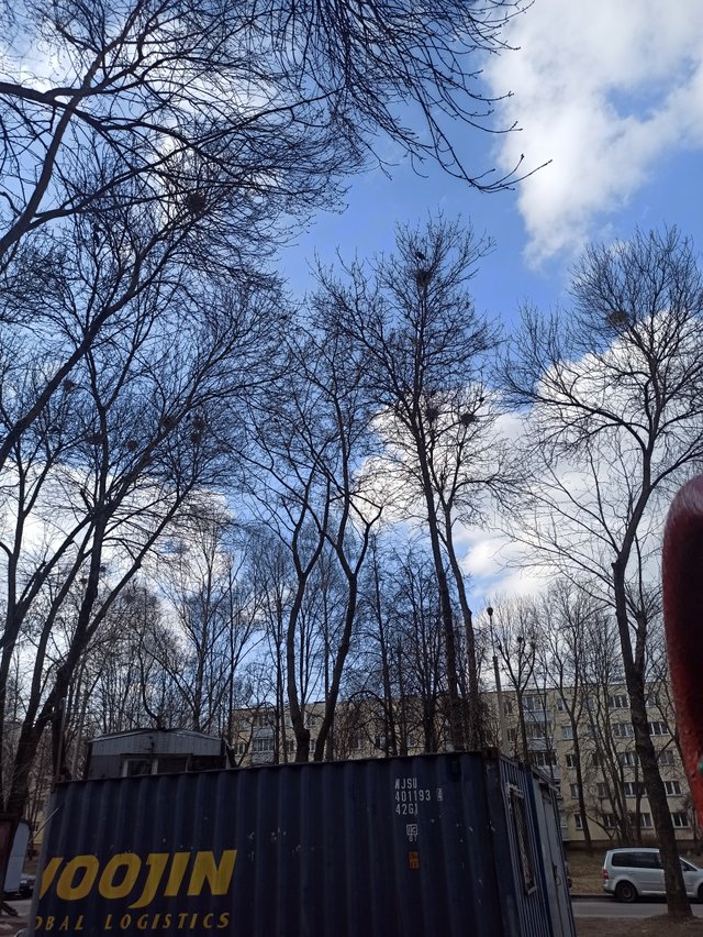IMG_20250330_165844.jpg