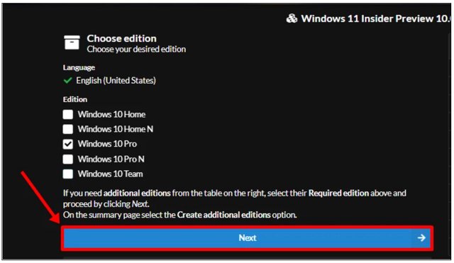 Select the Edition of Windows 11 Insider Preview that you like to download. We’ll proceed to check for Windows 10 Pro edition only. Click on the Next button.