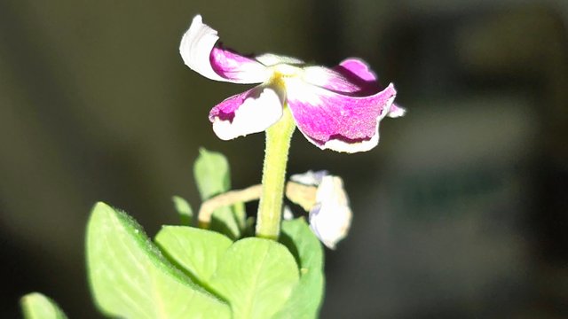 20250706_021757.jpg