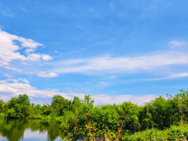 IMG_20250407_144846.jpg