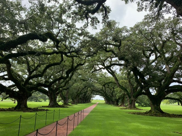 Whitney Plantation22.jpg