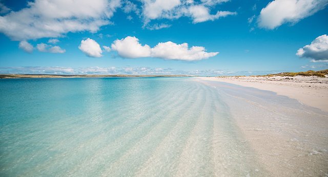 Sun-Sea-Dirk-Hartog-Island-Beach-740px.jpg