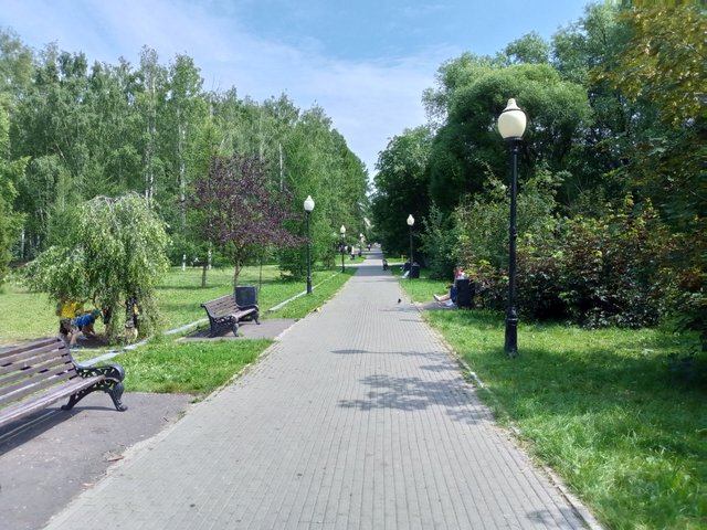 IMG_20250711_115621_266.jpg