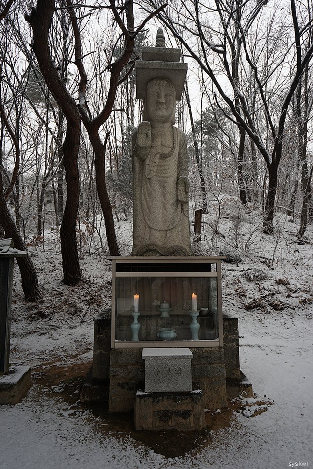 w-DSC00065.jpg
