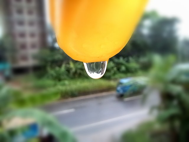 20250805_163727_edit_59159103042066.jpg