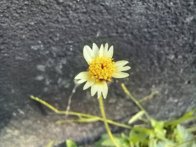 20251015_082034.jpg