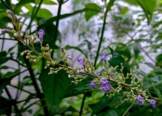 IMG20240819175330.jpg