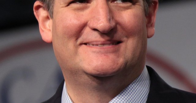 ted cruz folds.jpg