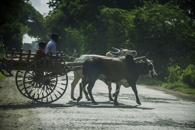 farmer-5353773_1280.jpg