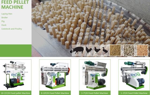 poultry feed machine supplier.jpg