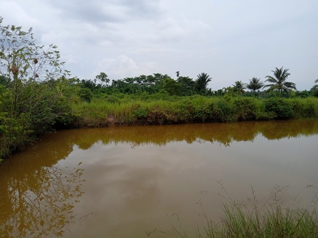 IMG20220719130932.jpg