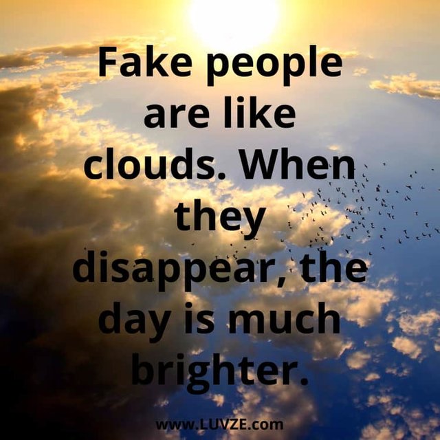 quotes-about-fake-people.jpg