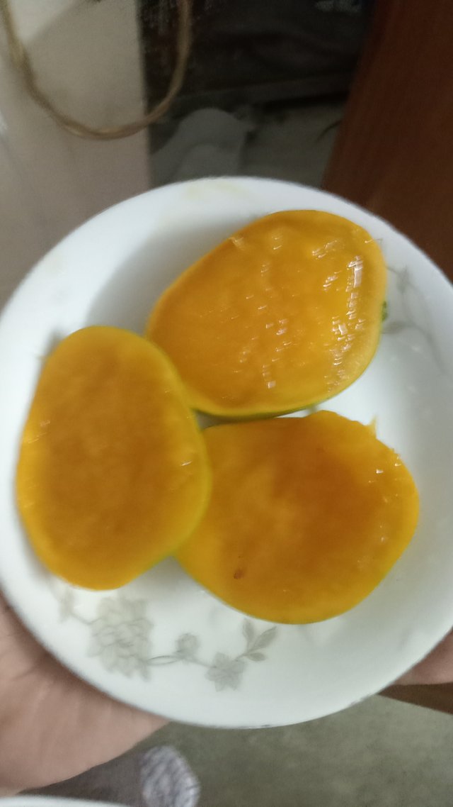 IMG20250505185214.jpg