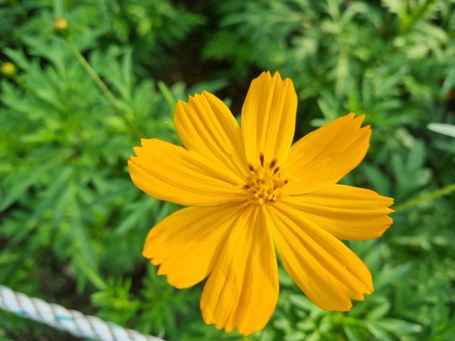 20210829_170220.jpg