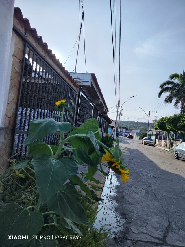 Sin título-3.jpg